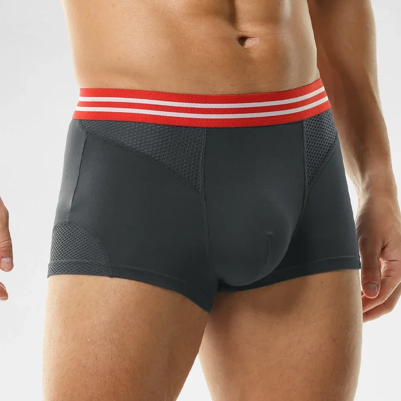 Underwear Men's boxers  mesh b - đánh giá và giá Mesh Sport Boxer