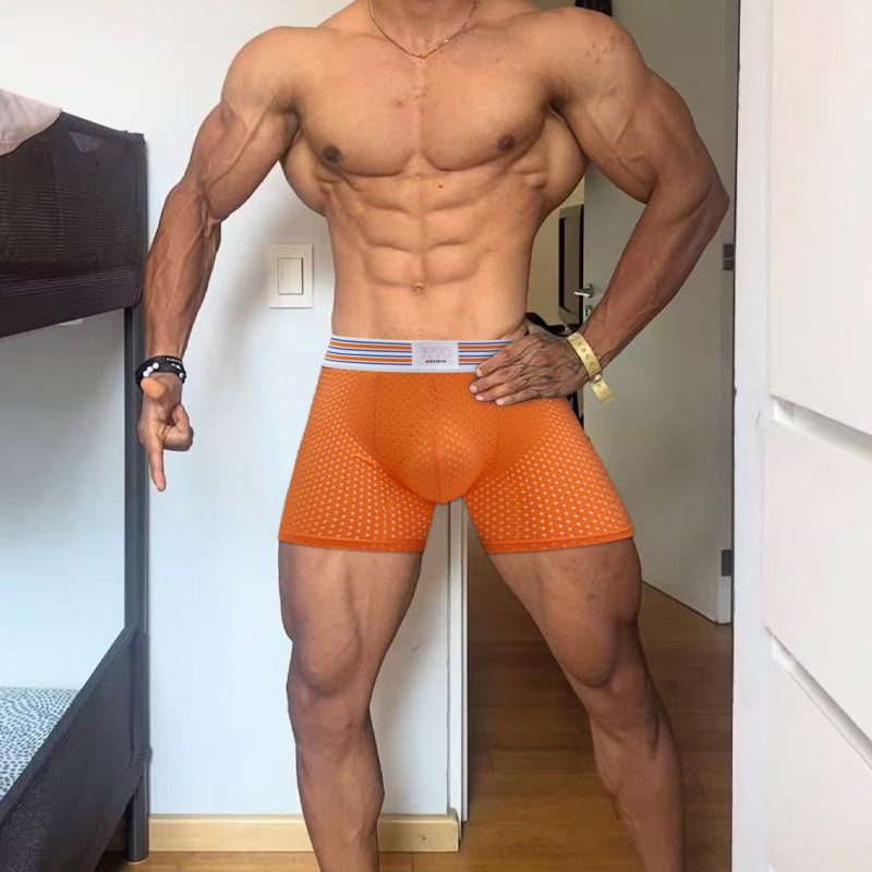 Fashionable Freely Detachable  - đánh giá và giá Mesh Sport Boxer