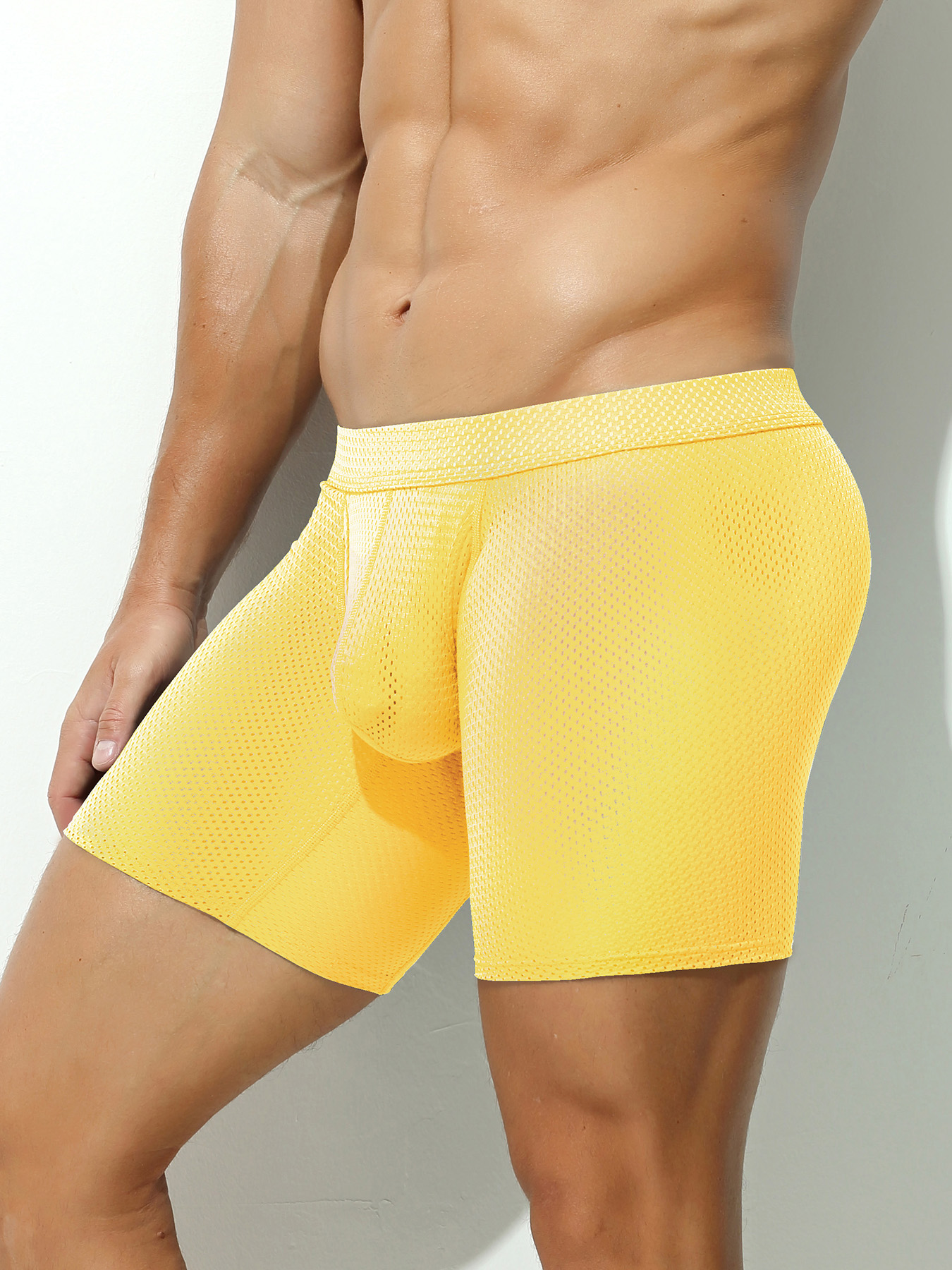 1pcs Men's Long Boxer Underwea - đánh giá và giá Mesh Sport Boxer